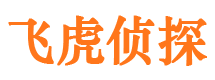 镇赉市侦探调查公司